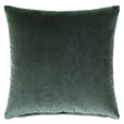 Echo Trim Applique Decorative Pillow