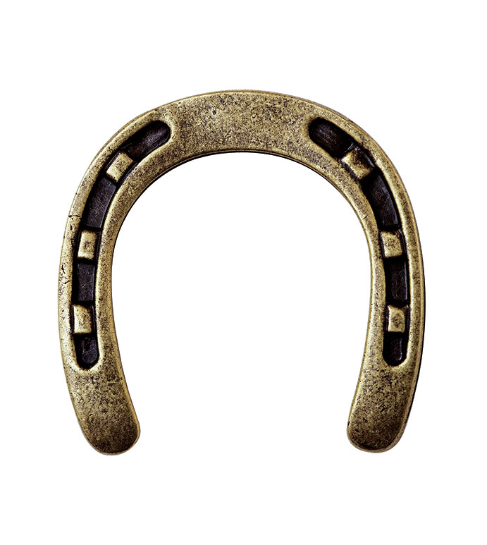 Horseshoe Stud Bronze