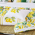 Meyer Lemon Wedge Decorative Pillow