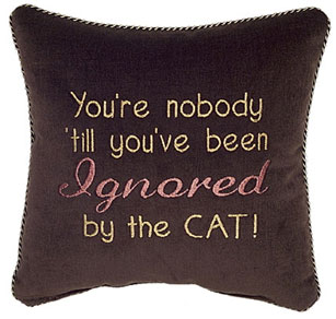 YouRe Nobody Til YouVe Been Ignored By The Cat!