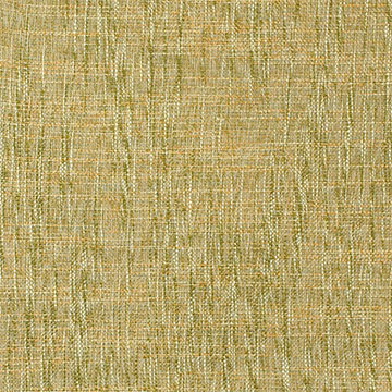 Broward Grass