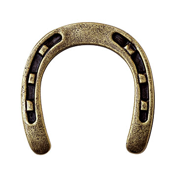 Horseshoe Stud Bronze